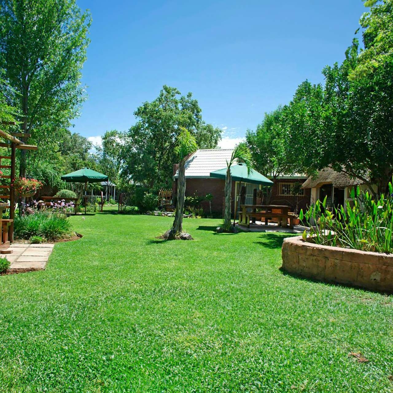 Tuin met groot groen grasperk en bome