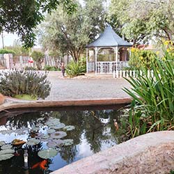 Eetlokaal by gastehuis