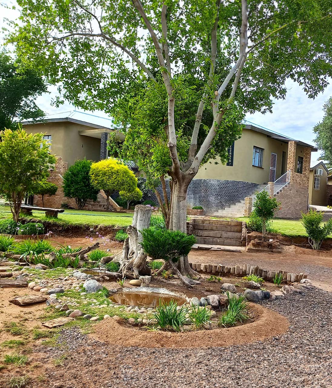 Groot boom en bosse voor gastehuis